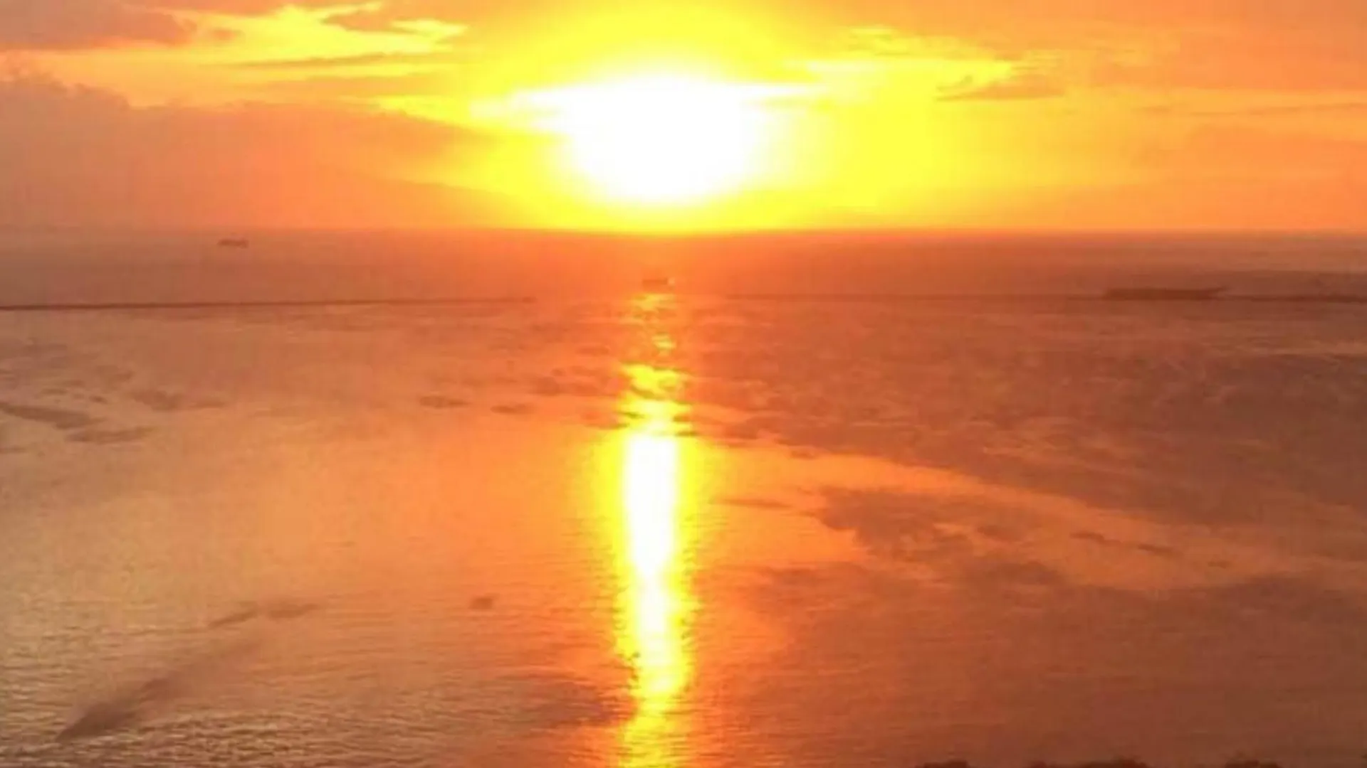Apartment Manila Bayview Luxury Condos: Poolside Balcony Retreats